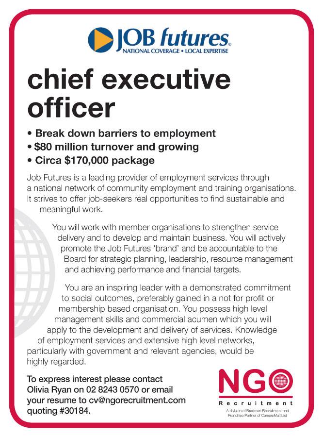 Ngo Recruitment Chief Executive And Board Director